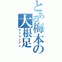 とある梅本の大根足（ダイコンアシ）