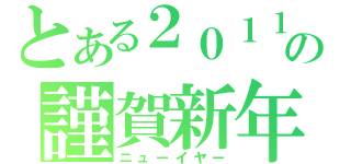 とある２０１１年の謹賀新年（ニューイヤー）