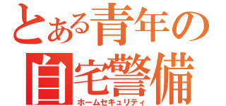 とある青年の自宅警備（ホームセキュリティ）