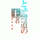 とある彎道の王者（藤原拓海）