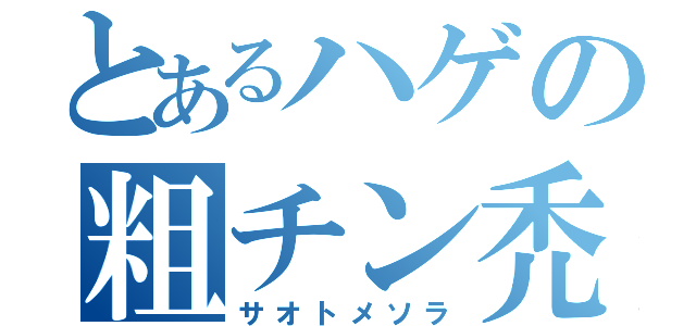 とあるハゲの粗チン禿（サオトメソラ）