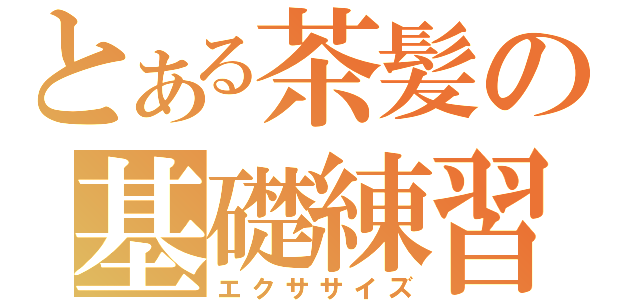 とある茶髪の基礎練習（エクササイズ）