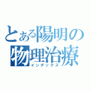 とある陽明の物理治療（インデックス）