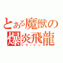 とある魔獣の爆炎飛龍（リザードン）