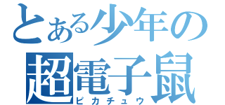 とある少年の超電子鼠（ピカチュウ）