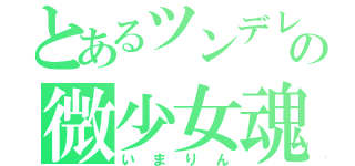 とあるツンデレの微少女魂（いまりん）