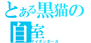 とある黒猫の自室（マイダンボール）