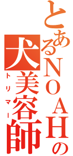 とあるＮＯＡＨの犬美容師（トリマー）