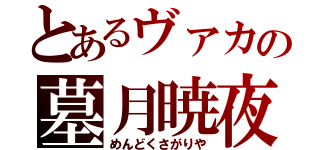 とあるヴァカの墓月暁夜（めんどくさがりや）