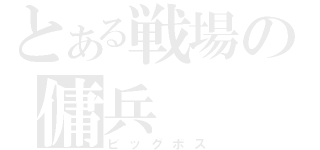 とある戦場の傭兵（ビッグボス）