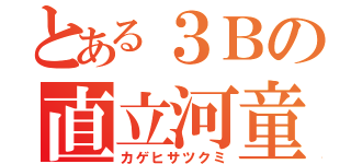 とある３Ｂの直立河童（カゲヒサツクミ）