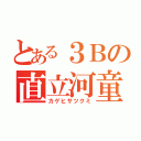 とある３Ｂの直立河童（カゲヒサツクミ）