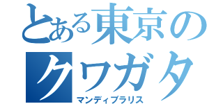 とある東京のクワガタ（マンディブラリス）