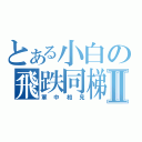 とある小白の飛跌同梯Ⅱ（軍中相見）