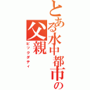 とある水中都市の父親（ビックダティ）