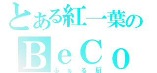 とある紅一葉のＢｅＣｏｏＬ（ふぁる厨）