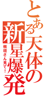 とある天体の新星爆発（板垣さん見て！）