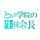 とある学院の生徒会長（エリーチカ）