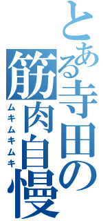 とある寺田の筋肉自慢（ムキムキムキ）