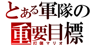 とある軍隊の重要目標（打倒マリオ）