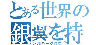 とある世界の銀翼を持つ者（シルバークロウ）