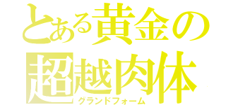 とある黄金の超越肉体（グランドフォーム）