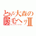 とある大森の陰毛ヘッド♥Ⅱ（インデックス）