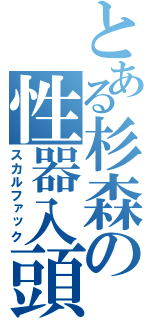 とある杉森の性器入頭（スカルファック）