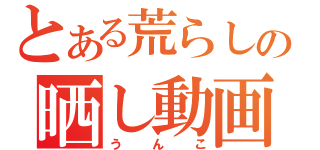 とある荒らしの晒し動画（うんこ）