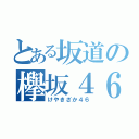 とある坂道の欅坂４６（けやきざか４６）