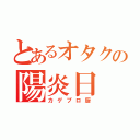 とあるオタクの陽炎日（カゲプロ厨）