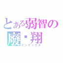 とある弱智の廢芷翔（インデックス）