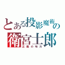 とある投影魔術の衛宮士郎（正義の味方）