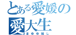 とある愛媛の愛大生（まゆゆ推し）