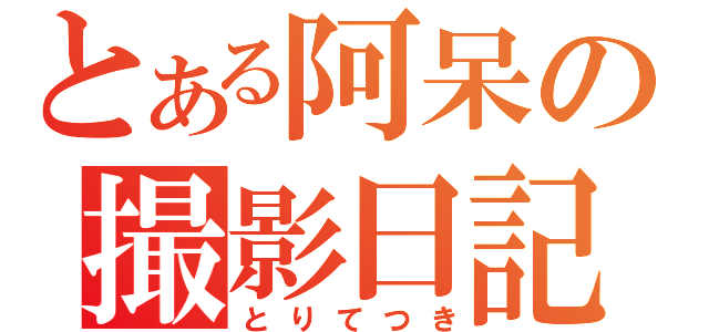 とある阿呆の撮影日記（とりてつき）