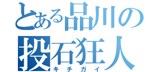 とある品川の投石狂人（キチガイ）