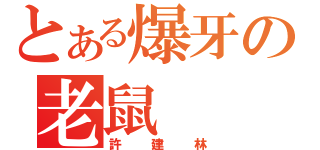 とある爆牙の老鼠（許建林）