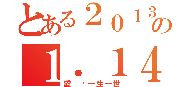 とある２０１３の１．１４（愛 你一生一世）