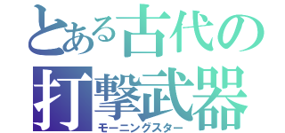 とある古代の打撃武器（モーニングスター）