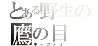 とある野生の鷹の目（ホークアイ）