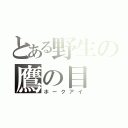 とある野生の鷹の目（ホークアイ）