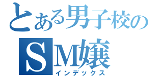 とある男子校のＳＭ嬢（インデックス）