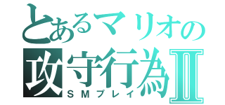 とあるマリオの攻守行為Ⅱ（ＳＭプレイ）