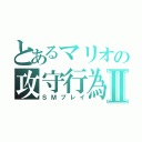 とあるマリオの攻守行為Ⅱ（ＳＭプレイ）