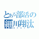 とある部活の細川翔汰（ルドルフ）