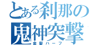 とある刹那の鬼神突撃（金髪ハーフ）