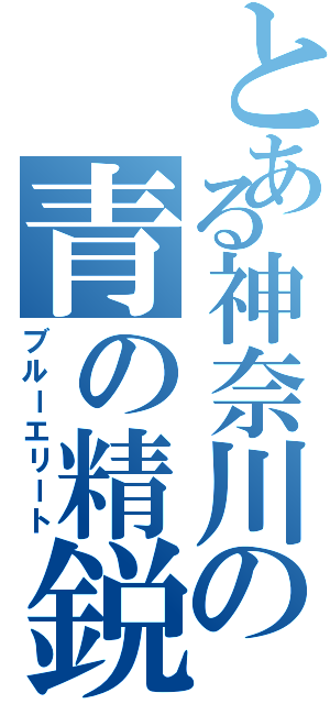 とある神奈川の青の精鋭（ブルーエリート）