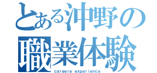 とある沖野の職業体験（ｃａｒｅｅｒｅ ｅｘｐｅｒｉｅｎｃｅ）