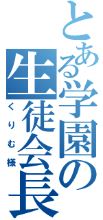 とある学園の生徒会長（くりむ様）