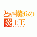 とある横浜の炎上王（メスゴリラ）